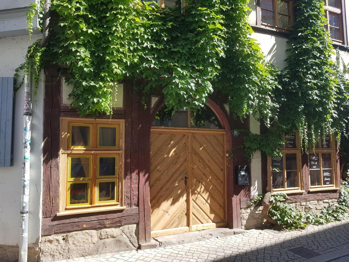 Ferienwohnung Am Erfurter Dom Exteriör bild